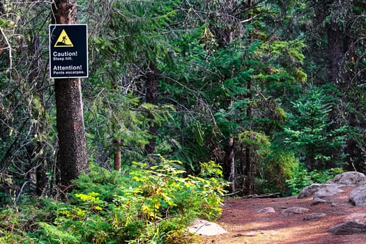 A caution steep hill sign on a edge of a trail.