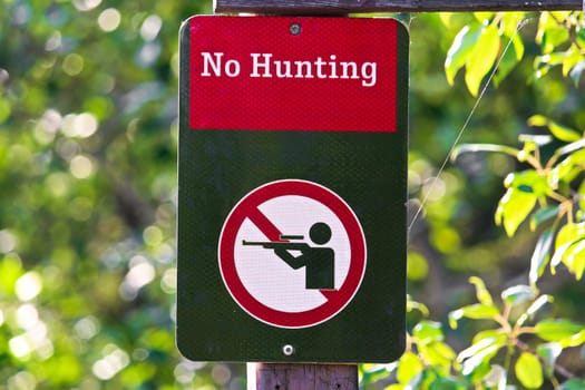 Closeup of a no hunting sign on a green background.