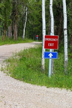 Emergency exit sign along a country road with another same sign blurred in the background.