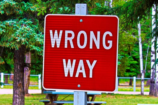 Closeup of a wrong way sign.