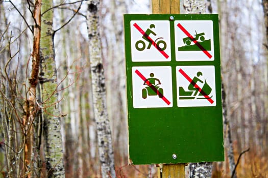 No recreational vehicles sign along a campsite road.