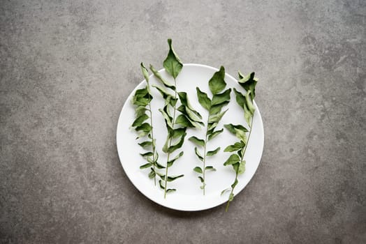 Dried curry leaves on white plate, grey background. Top view with copy space.