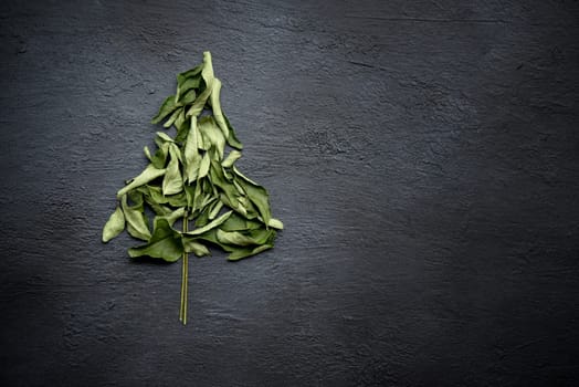 Dried curry leaves, Indian spices on dark background. Top view with copy space.