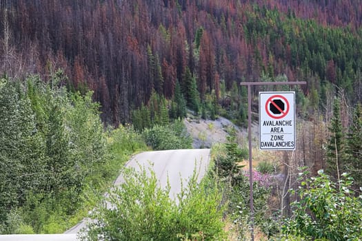 A no stopping avalanche sign with a road in the background.
