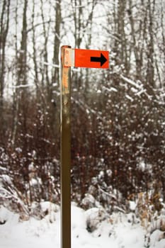 An orange trail marker sign along a hiking path.
