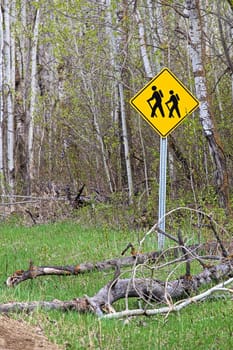A hiking trail crossing sign at the edge of a forest.