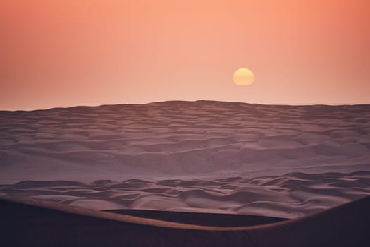 Sand dunes in desert landscape at sunrise. Wahiba Sands, Sultanate of Oman.