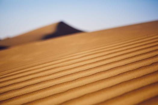 Close-up view of sand dunes in desert. Wahiba Sands, Sultanate of Oman.