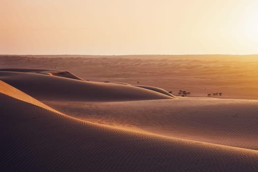 Sand dunes in desert landscape at sunset. Wahiba Sands, Sultanate of Oman.