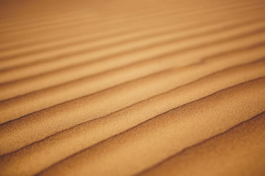 Close-up view of sand dunes in desert. Wahiba Sands, Sultanate of Oman.