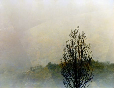 Impressionism painted composition. Lonely tree