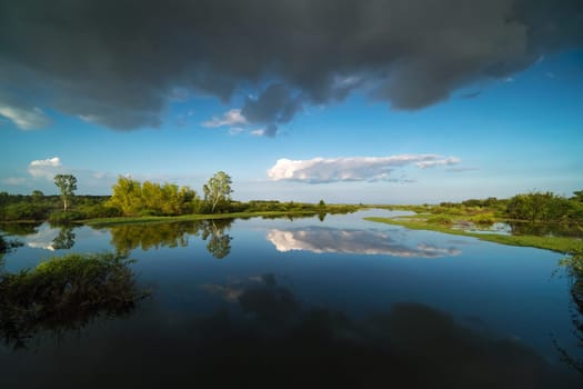 landscape with water surface
