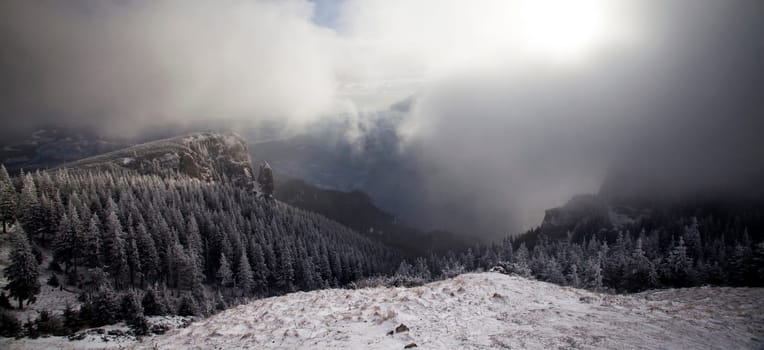 Christmas and New Year background with winter trees in mountains covered with fresh snow - Magic holiday background