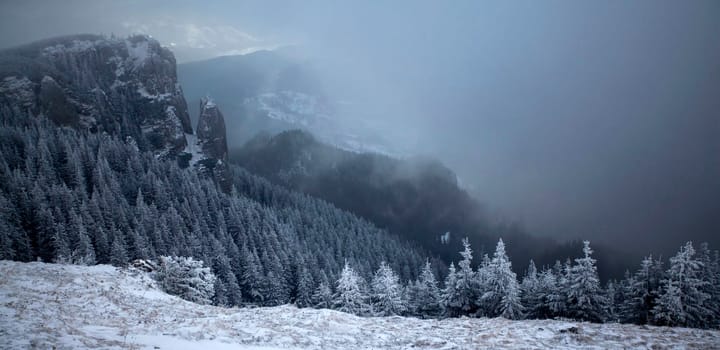 Christmas and New Year background with winter trees in mountains covered with fresh snow - Magic holiday background