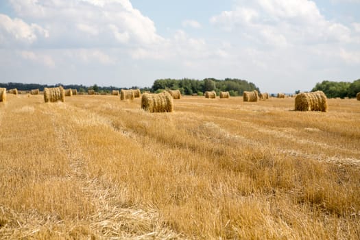 Hay bale or sheaf