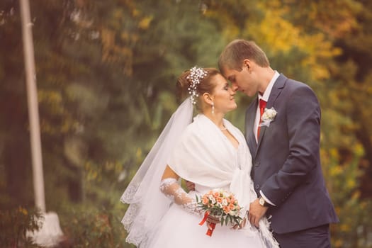 young family, the wedding, the newlyweds