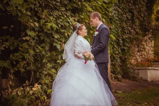 young family, the wedding, the newlyweds