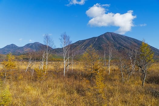 Senjogahara covers the plateau between Chuzenjiko and Yumoto Onsen. It is particularly beautiful during the autumn leaf season in October when the marshland's grasses turn into a reddish yellow and the larch trees into a shiny gold.