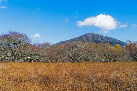 Senjogahara covers the plateau between Chuzenjiko and Yumoto Onsen. It is particularly beautiful during the autumn leaf season in October when the marshland's grasses turn into a reddish yellow and the larch trees into a shiny gold.
