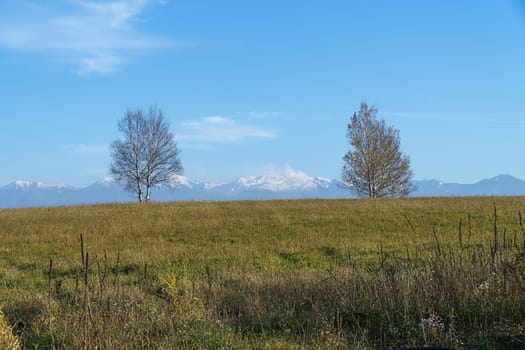 Biei is a small town surrounded by a picturesque landscape of gently rolling hills and vast fields. A pleasant way to enjoy the charm of Biei is by cycling or driving through the hills and visiting some of the flower fields and famous trees along the way.
