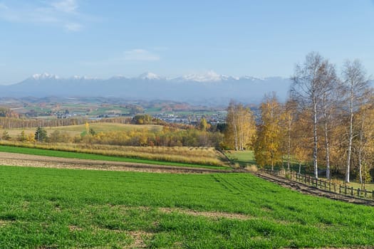 Biei is a small town surrounded by a picturesque landscape of gently rolling hills and vast fields. A pleasant way to enjoy the charm of Biei is by cycling or driving through the hills and visiting some of the flower fields and famous trees along the way.