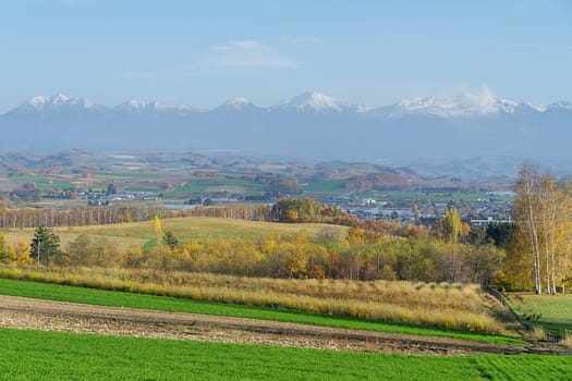 Biei is a small town surrounded by a picturesque landscape of gently rolling hills and vast fields. A pleasant way to enjoy the charm of Biei is by cycling or driving through the hills and visiting some of the flower fields and famous trees along the way.