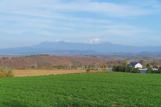 Biei is a small town surrounded by a picturesque landscape of gently rolling hills and vast fields. A pleasant way to enjoy the charm of Biei is by cycling or driving through the hills and visiting some of the flower fields and famous trees along the way.