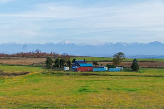 Biei is a small town surrounded by a picturesque landscape of gently rolling hills and vast fields. A pleasant way to enjoy the charm of Biei is by cycling or driving through the hills and visiting some of the flower fields and famous trees along the way.