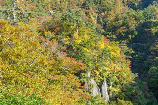 Naruko Gorge is one of the Tohoku Region's most scenic gorges. It is located in north-western Miyagi Prefecture, about 70 kilometers from Sendai. Every year around late October to early November, the gorge transforms into one of the region's most popular autumn color.
