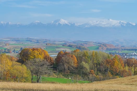 Biei is a small town surrounded by a picturesque landscape of gently rolling hills and vast fields. A pleasant way to enjoy the charm of Biei is by cycling or driving through the hills and visiting some of the flower fields and famous trees along the way.