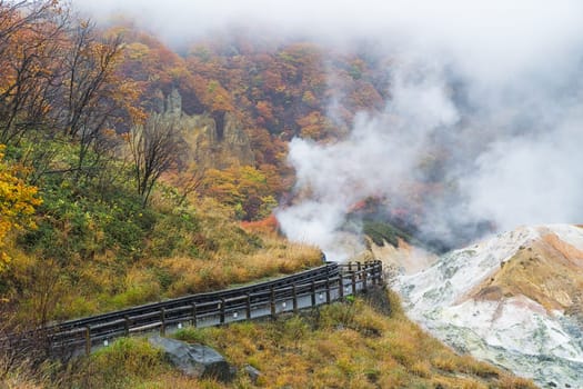 Noboribetsu Onsen is Hokkaido's most famous hot spring resort. A large amount of Noboribetsu's many types of hot spring water surfaces in the spectacular Jigokudani or "Hell Valley"" just above the resort town. Noboribetsu is part of Shikotsu-Toya National Park."