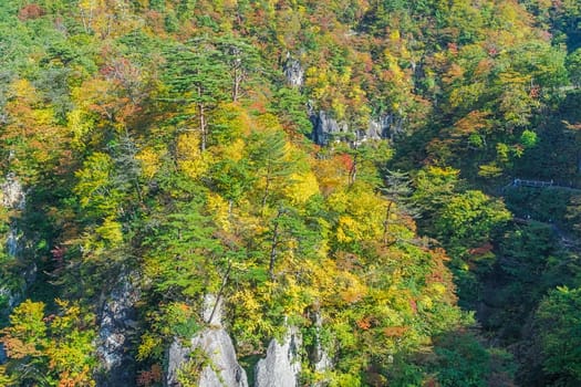 Naruko Gorge is one of the Tohoku Region's most scenic gorges. It is located in north-western Miyagi Prefecture, about 70 kilometers from Sendai. Every year around late October to early November, the gorge transforms into one of the region's most popular autumn color.