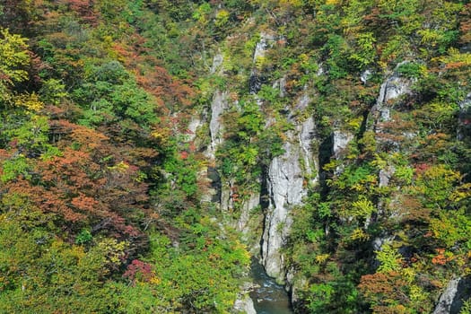 Naruko Gorge is one of the Tohoku Region's most scenic gorges. It is located in north-western Miyagi Prefecture, about 70 kilometers from Sendai. Every year around late October to early November, the gorge transforms into one of the region's most popular autumn color.