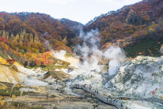 Noboribetsu Onsen is Hokkaido's most famous hot spring resort. A large amount of Noboribetsu's many types of hot spring water surfaces in the spectacular Jigokudani or "Hell Valley"" just above the resort town. Noboribetsu is part of Shikotsu-Toya National Park."