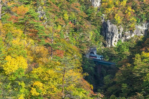 Naruko Gorge is one of the Tohoku Region's most scenic gorges. It is located in north-western Miyagi Prefecture, about 70 kilometers from Sendai. Every year around late October to early November, the gorge transforms into one of the region's most popular autumn color.