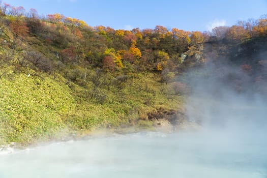 Noboribetsu Onsen is Hokkaido's most famous hot spring resort. A large amount of Noboribetsu's many types of hot spring water surfaces in the spectacular Jigokudani or "Hell Valley"" just above the resort town. Noboribetsu is part of Shikotsu-Toya National Park."