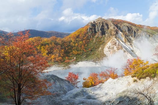 Noboribetsu Onsen is Hokkaido's most famous hot spring resort. A large amount of Noboribetsu's many types of hot spring water surfaces in the spectacular Jigokudani or "Hell Valley"" just above the resort town. Noboribetsu is part of Shikotsu-Toya National Park."