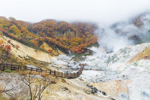 Noboribetsu Onsen is Hokkaido's most famous hot spring resort. A large amount of Noboribetsu's many types of hot spring water surfaces in the spectacular Jigokudani or "Hell Valley"" just above the resort town. Noboribetsu is part of Shikotsu-Toya National Park."