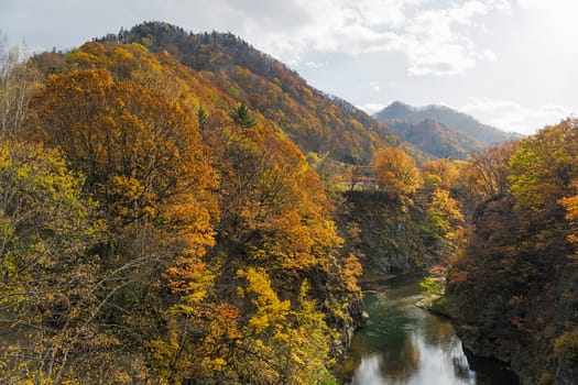 Jozankei Onsen is located inside Shikotsu-Toya National Park between the high cliffs of the Toyohira River. The town is only one hour outside central Sapporo, making it a popular side trip from the city. It is one of the most popular places for tourist.