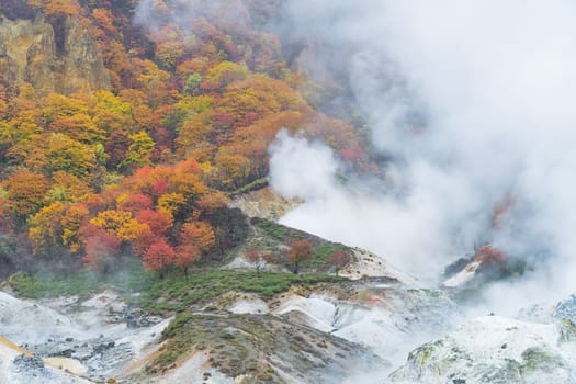 Noboribetsu Onsen is Hokkaido's most famous hot spring resort. A large amount of Noboribetsu's many types of hot spring water surfaces in the spectacular Jigokudani or "Hell Valley"" just above the resort town. Noboribetsu is part of Shikotsu-Toya National Park."