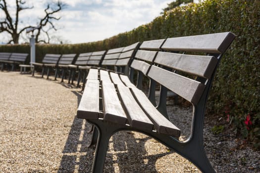 Empty Bench Row Bushes Sky Park Open Skies Blue Sunny Day Beautiful Weather European Tourist Location