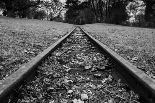 Rail Road Tracks Park Hills Landscape Forest Black White Monochrome Emotional Goal Travel Moving Perspective Closeup
