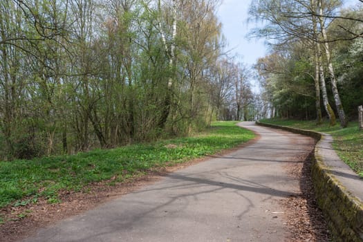 Forest Path Foliage Bright Beautiful Day Outdoors Wildlife Park Destination Green Lush