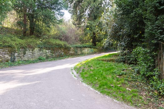 Forest Path Foliage Bright Beautiful Day Outdoors Wildlife Park Destination Green Lush