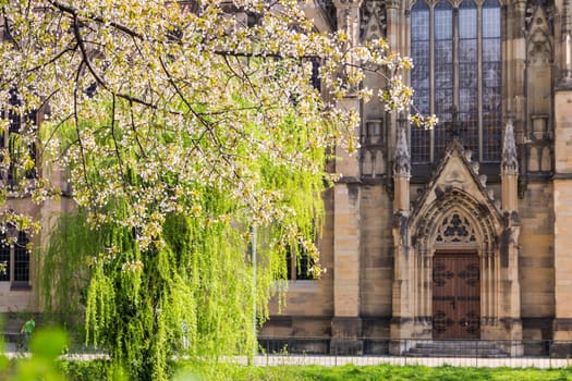 Feuersee Stuttgart Germany Europe Cathedral Religious Old Architecture Destination Visit Travel City Buildings Park Pond