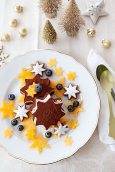 Star-shaped ice cream with cinnamon cookies, blueberries and persimmon