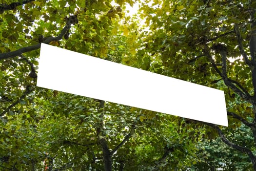 Banner Hanging in Trees Public Park Blank BIllboard Ad Space Isolated White