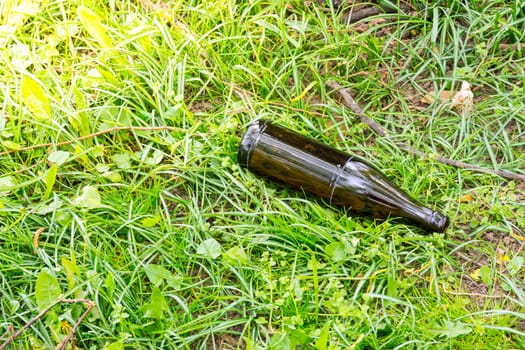 Grass Green Ground Beer Bottle Empty
