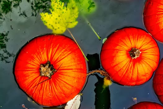 Pumpkin Water Fountain Floating Orange Autumn Fall Decoration Green Halloween