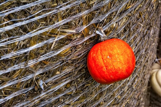 Pumpkin Orange Attached Haybale Closeup Background Texture Decoration Autumn Fall Single